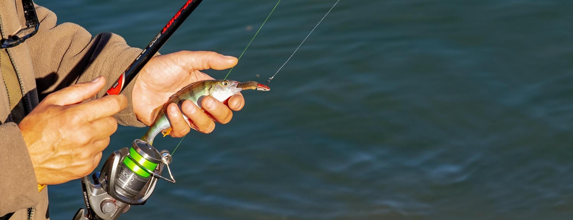 Angelsportgeschäft -Angelsportgeschäft angler 3778880 1920