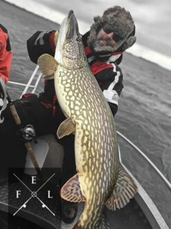 Eastfield Wingman Curly 23cm, 77g -Angelsportgeschäft wingman curlr 3