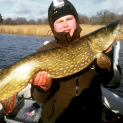 Eastfield Wingman Curly 23cm, 77g -Angelsportgeschäft wingman curlr 4